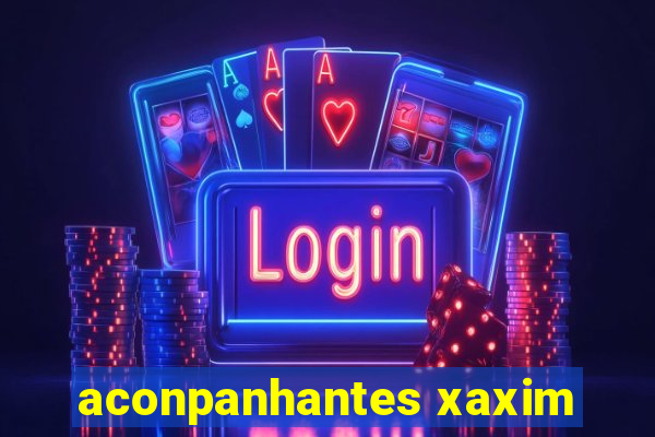 aconpanhantes xaxim